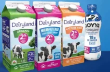 dairyland coupons