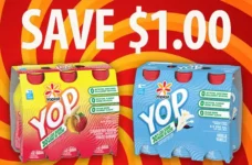 yoplait YOP coupon