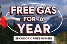 tim hortons contest