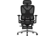 FLEXISPOT ErgoX Premium Ergonomic Office Chair