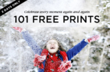 Shutterfly 101 Free Prints