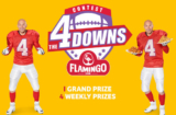 Flamingo The 4 Downs Contest