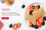 Share Your Own Shredded Wheat Creation Contest