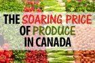 The Soaring Price of Produce in Canada