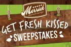 Pet Valu Get “Fresh Kissed” Contest
