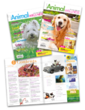Animal Wellness Magazine Free Issue