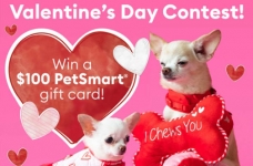 PetSmart Contest Canada | Valentine’s Contest