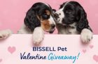 Bissell Contest Canada | Bissell Pet Valentine’s Giveaway
