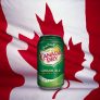 Canada Dry Show Us Your Real Canadian Spirit Contest