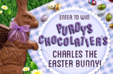 Purdys Chocolatier Charles The Easter Bunny Giveaway