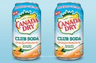 XYStuff – Canada Dry Club Soda Orange-Mandarin