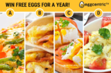 Eggcentric TV Sweepstakes