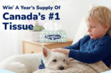 Scotties Contest | Year Supply Contest