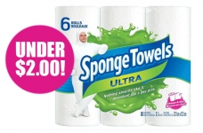 SpongeTowels Paper Towels for Under $2
