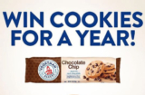 Voortman Bakery Cookies for a Year Contest