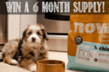 WIN 6 Months of Free Petcurean Pet Food