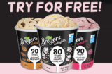 ChickAdvisor – Breyers Delights Dairy Dessert