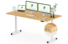 FLEXISPOT E6 MAX Bamboo 60×30 Inch Dual Motor 3-Stage Heavy Duty Standing Desk