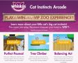 Whiskas Cat Instincts Arcade Contest