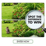 Scotts Spring Contest