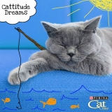 Purina Cattitude Dreams Contest