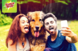 Scotch-Brite Pet Shedding Season Contest