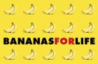 No Frills Bananas for Life Contest