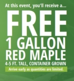 Lowe’s Project Re-Plant