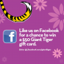 Giant Tiger Like Us On Facebook Contest