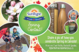 SunRype Spring Contest