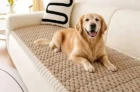 Wuly4ever Non-Slip Washable Couch Covers for Pets