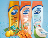 Dial Innovation Contest