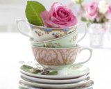 Krups Mother’s Day Giveaway