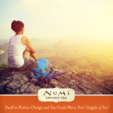 Numi Recyclable RealCup Contest