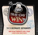Cesar Tray A Day Promotion