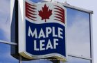 RECALL: Maple Leaf Foods Breaded Chicken Products