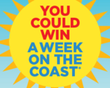 Best Summer Ever Contest