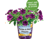 Home Depot – VIVA Rhythm & Blues Petunias Coupon