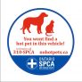 Free No Hot Pets Window Decal