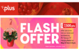 PC Plus Flash Offer – Hanging Baskets