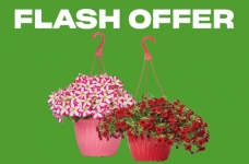 PC Optimum Flash Offer | Deluxe Hanging Baskets
