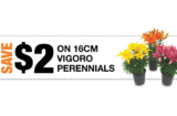 Home Depot Vigoro Perennials Coupon