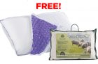 Sleep Country – Free Pillow Offer