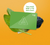 McDonald’s Salad Society Contest