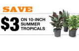 Home Depot Summer Tropicals Coupon
