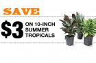Home Depot Summer Tropicals Coupon