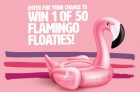Barefoot Win & Bubbly Flamingo Floatie Giveaway