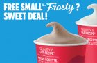 SkipTheDishes Free Small Frosty