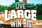 D’Italiano Grill Large Contest