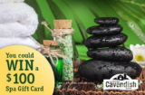 Cavendish Farms Back to School, Back to You Contest